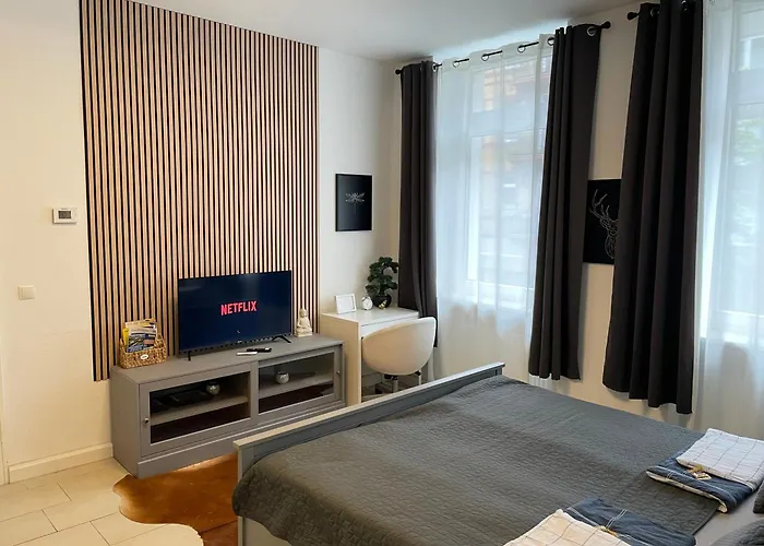 Schoenes Appartment Im Zentrum Von Koblenz II
